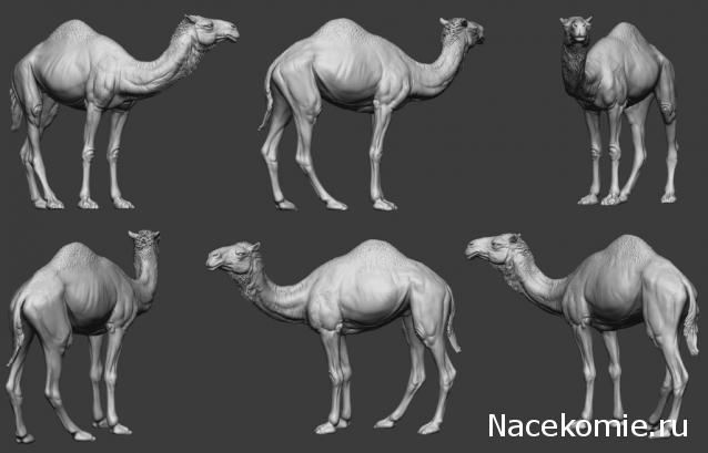 Chronos Miniatures, фото, обсуждения, пожелания, общение с представителем