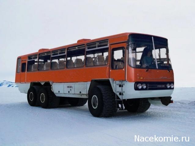 Околоавтобусная болталка