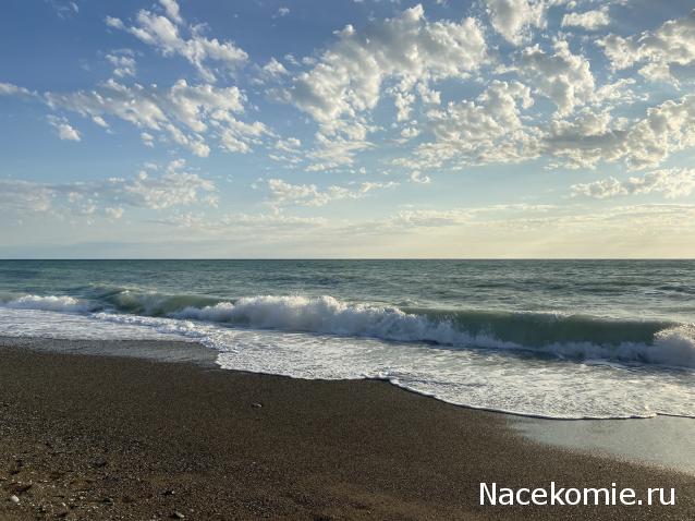 "Живой уголок"