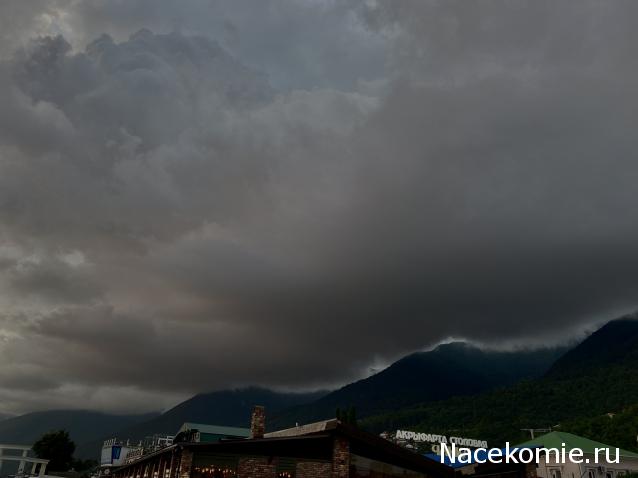 "Живой уголок"