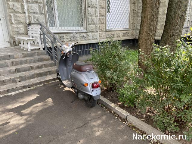 Автолегенды вживую