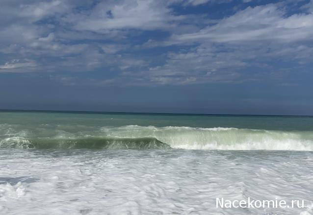 "Живой уголок"