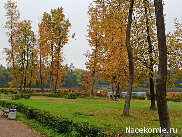 Тракторная болталка