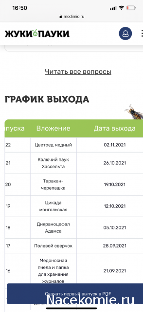 Жуки и Пауки - График выхода и обсуждение