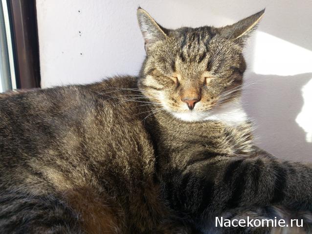 "Живой уголок"