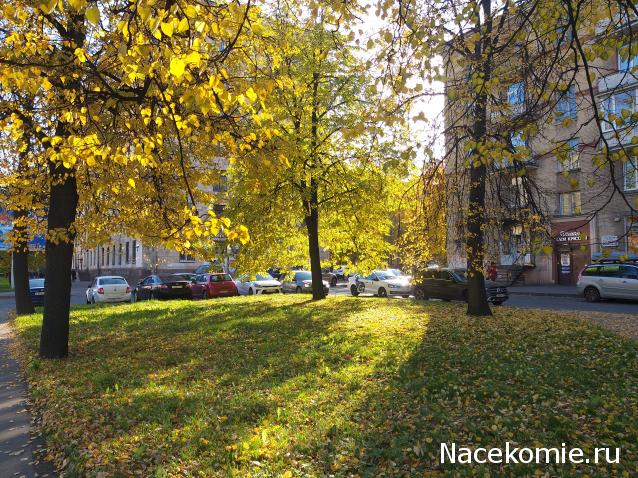 "Живой уголок"