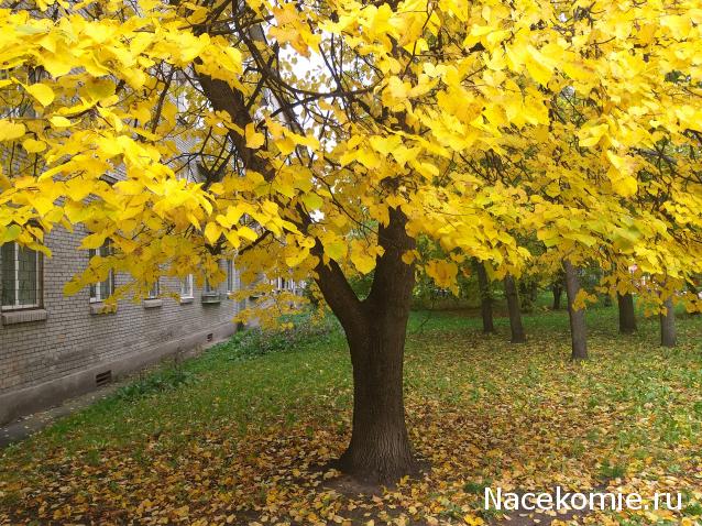 "Живой уголок"