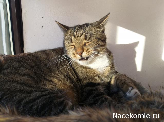 "Живой уголок"