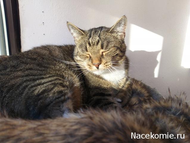 "Живой уголок"