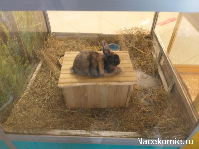 "Живой уголок"