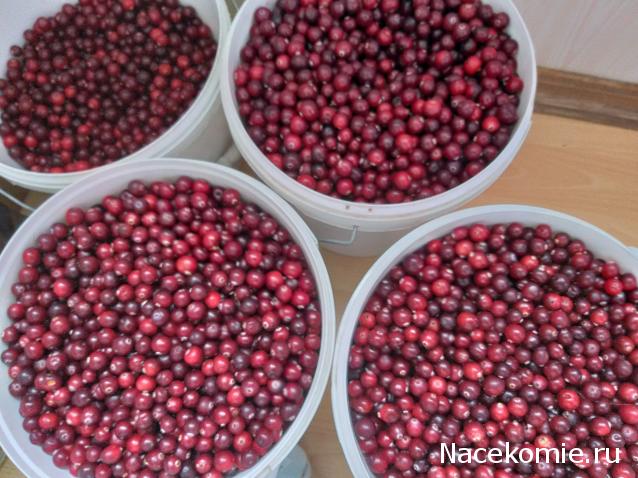 Кулинарный отдел