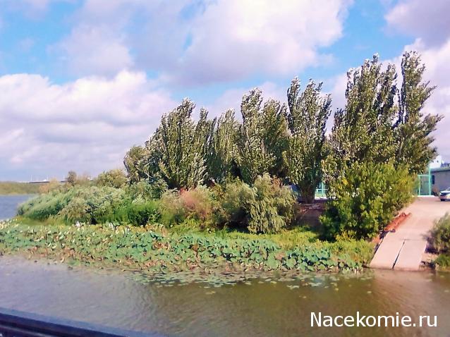 Liana65-Snegana - Мой будущий дом и его обитатели.