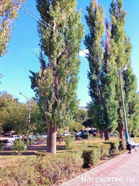 Liana65-Snegana - Мой будущий дом и его обитатели.