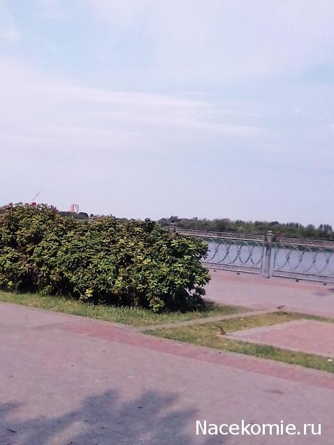 Liana65-Snegana - Мой будущий дом и его обитатели.