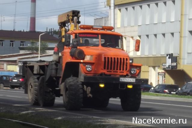 Автолегенды вживую