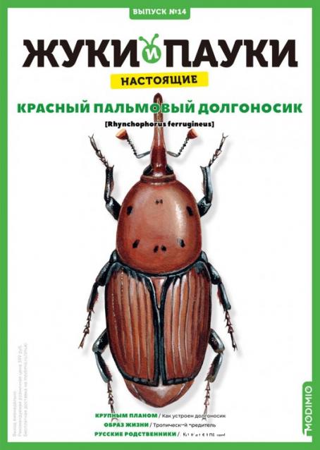 Жуки и Пауки №14 - Красный Пальмовый Долгоносик