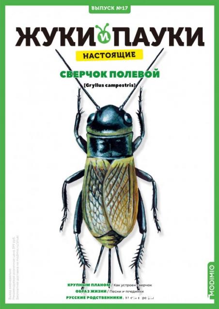Жуки и Пауки №17 - Полевой Сверчок