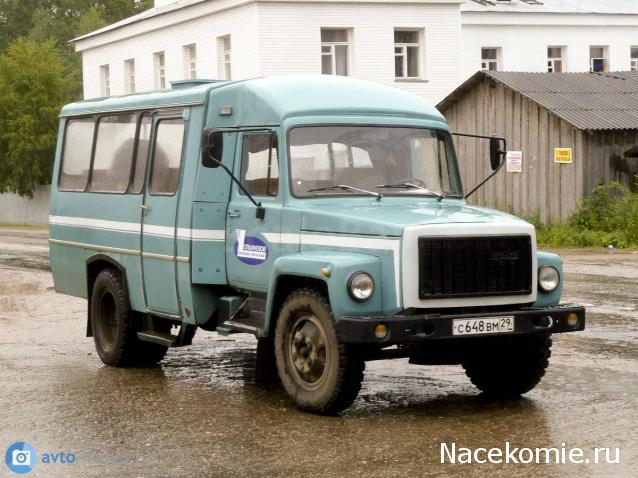 Околоавтобусная болталка