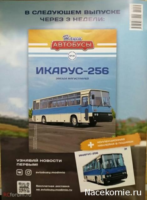 Наши Автобусы №31 - Икарус-256