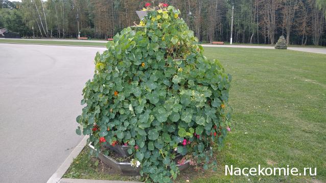 Тракторная болталка