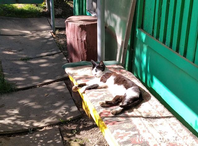 "Живой уголок"