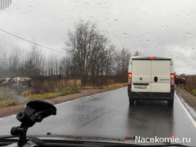 "Живой уголок"