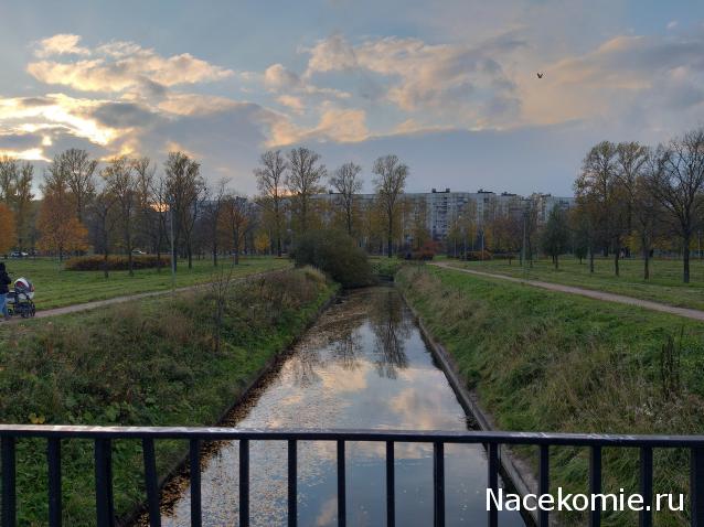 "Живой уголок"