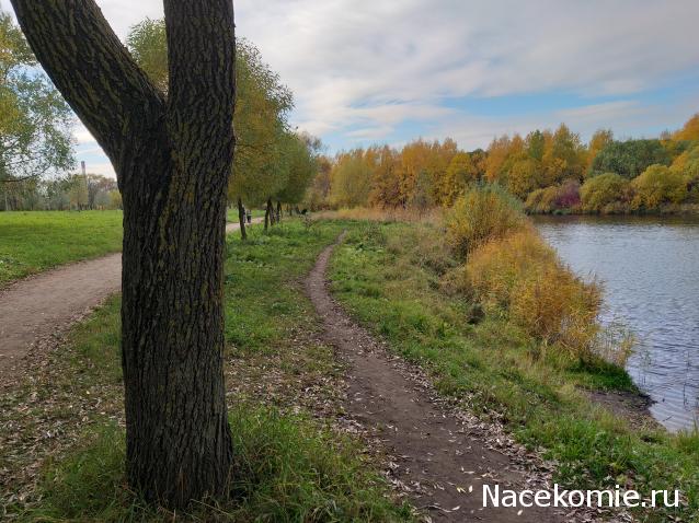 "Живой уголок"