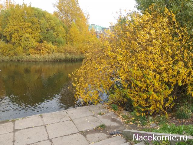 "Живой уголок"