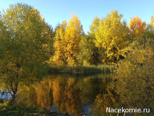 "Живой уголок"