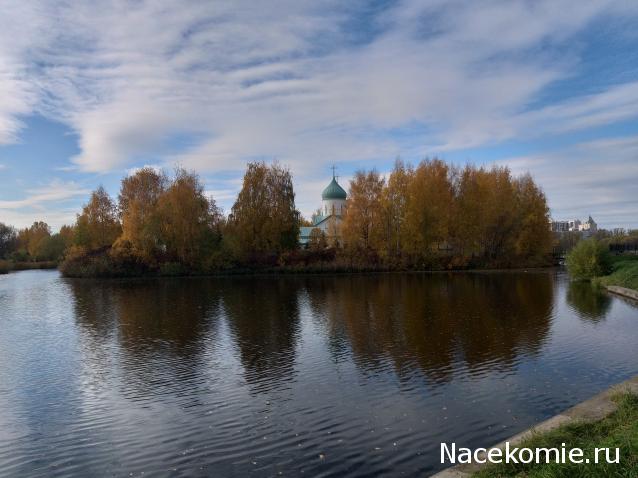 "Живой уголок"