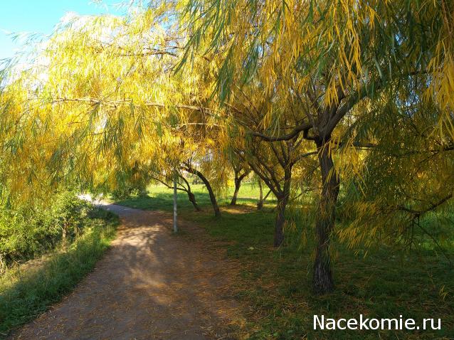 "Живой уголок"