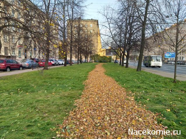 "Живой уголок"