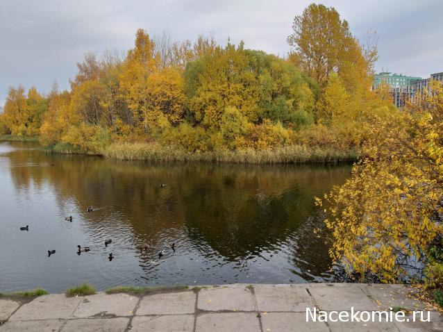 "Живой уголок"