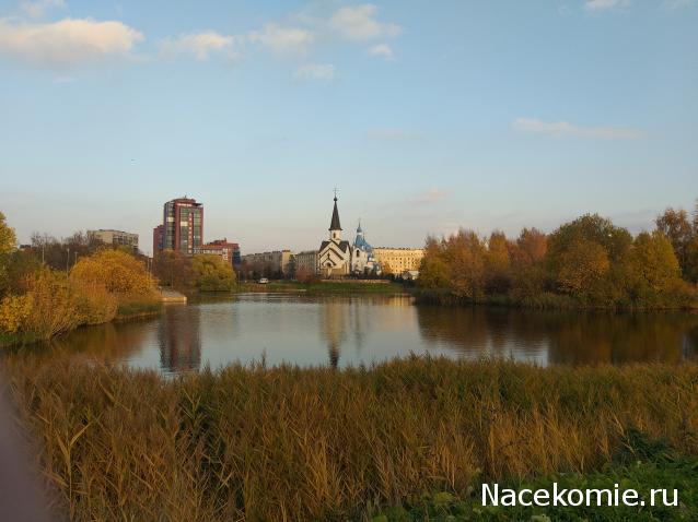 "Живой уголок"