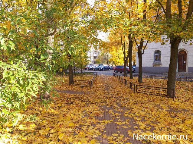 "Живой уголок"
