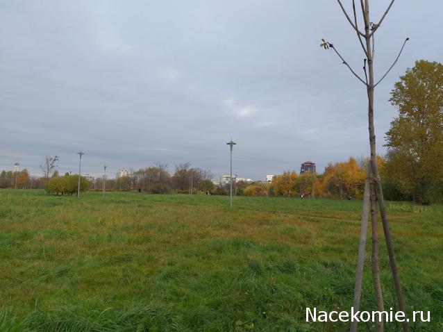 "Живой уголок"