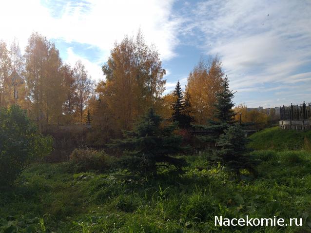 "Живой уголок"