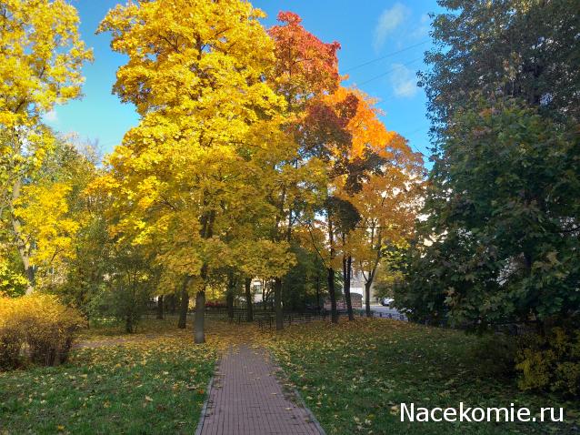 "Живой уголок"