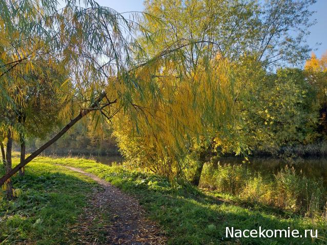 "Живой уголок"