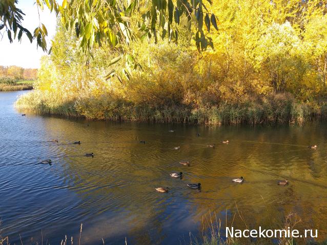 "Живой уголок"