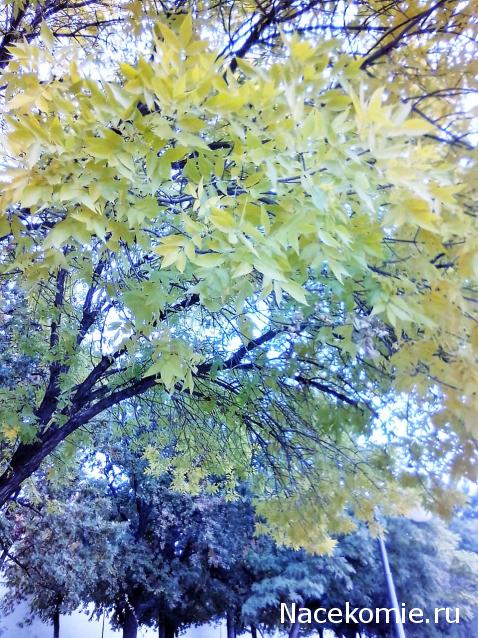 Liana65-Snegana - Мой будущий дом и его обитатели.