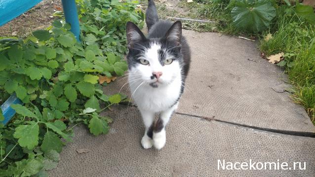 "Живой уголок"