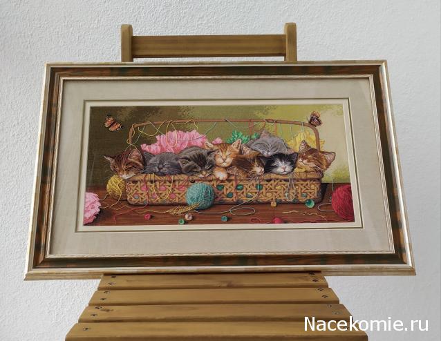 100 крестиков!