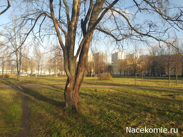 "Живой уголок"