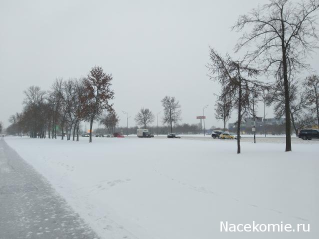 "Живой уголок"