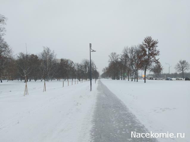 "Живой уголок"