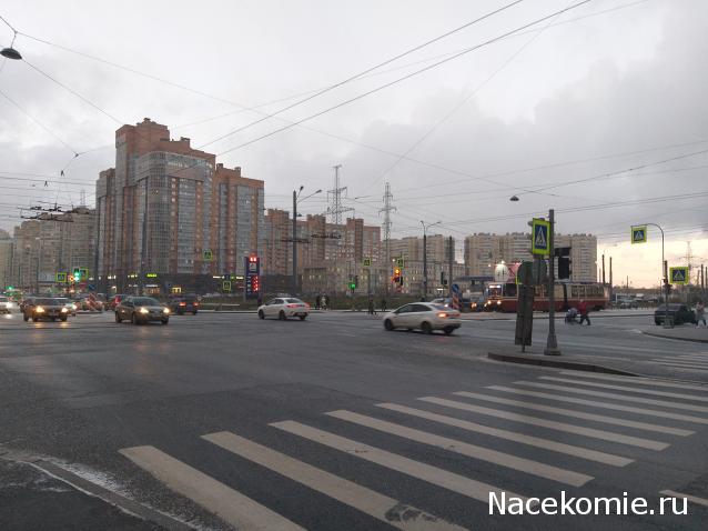 "Живой уголок"