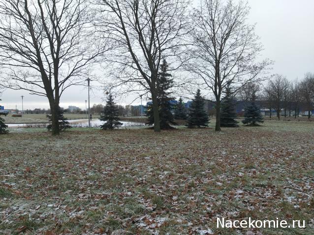 "Живой уголок"