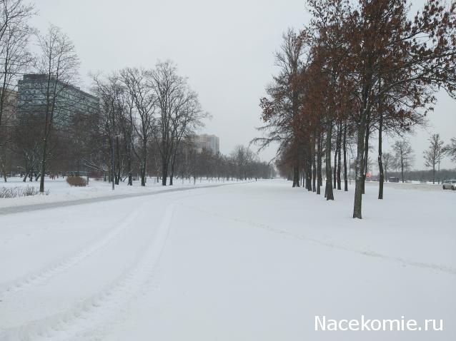 "Живой уголок"